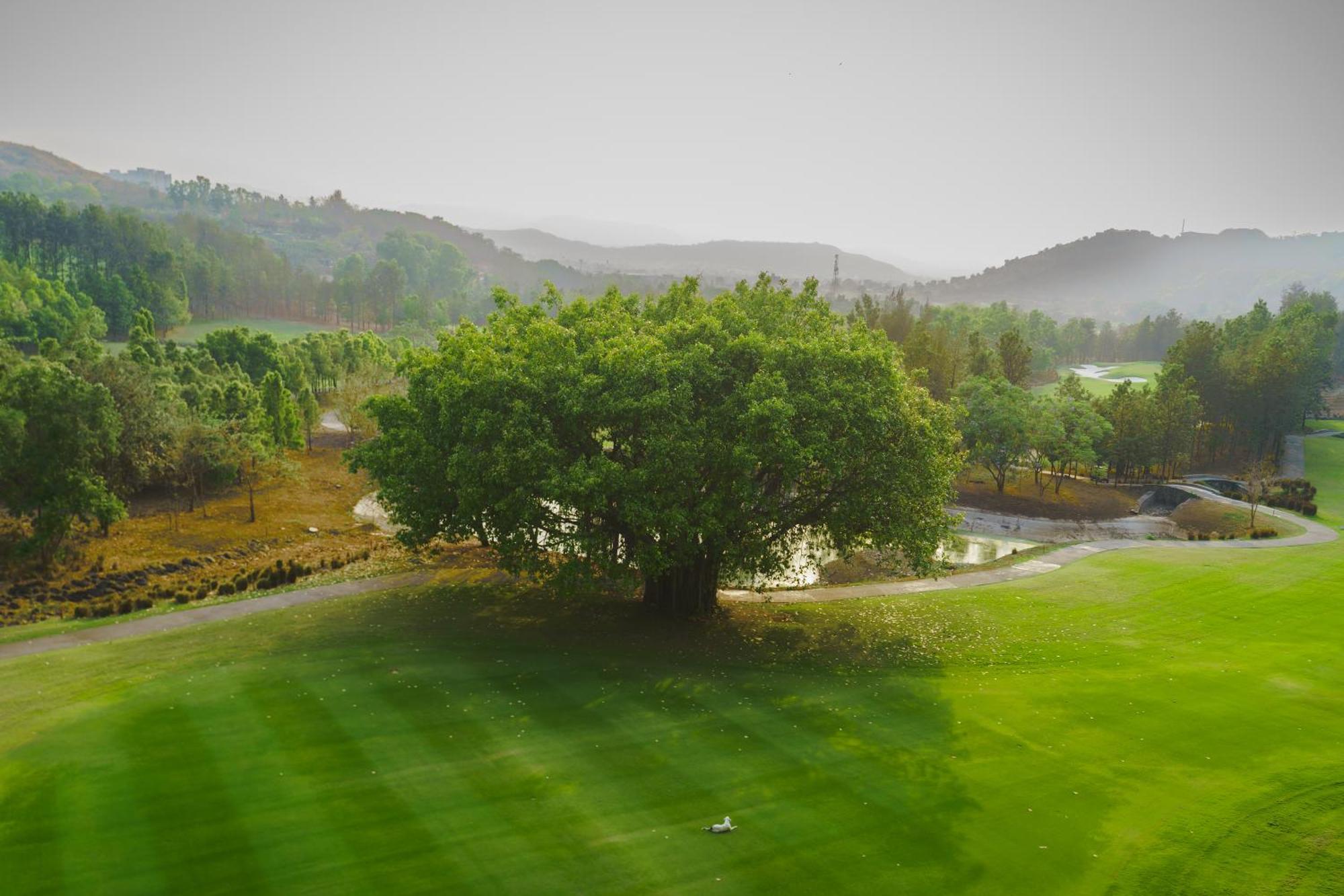 Oxford Golf Resort Pirangut Extérieur photo